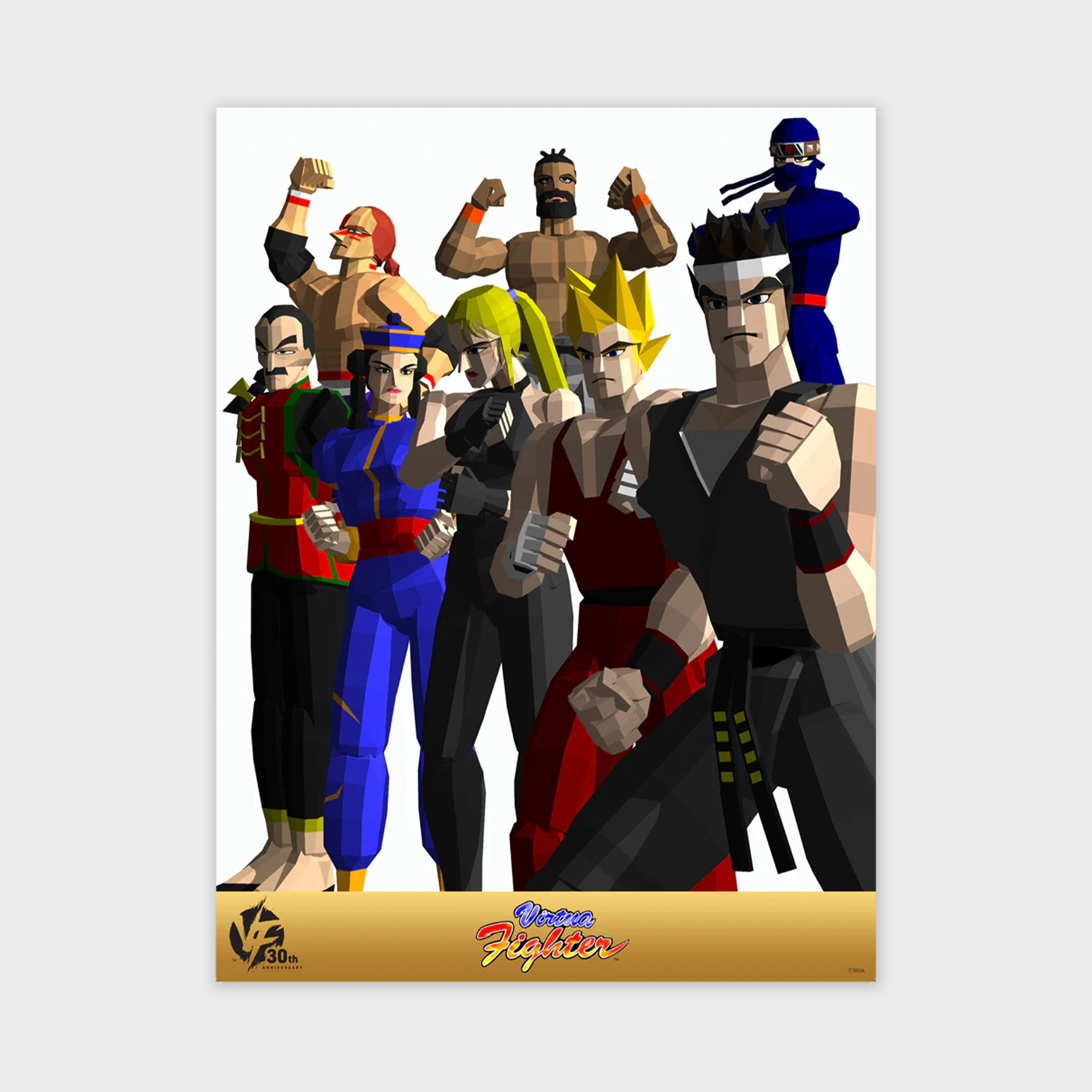 Virtua Fighter - A - SEGA - Evo 2025 Poster Collection