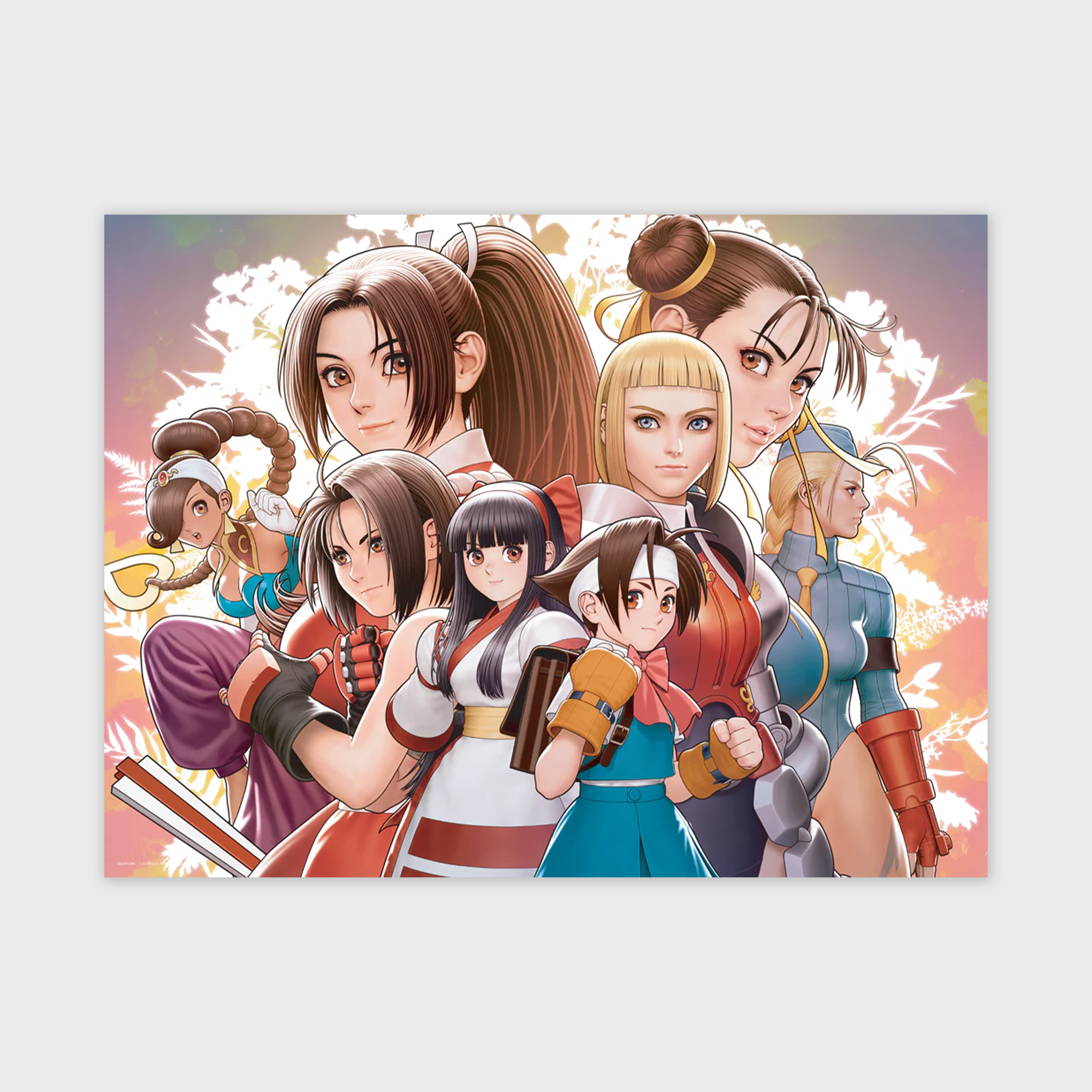 Capcom Fighting Collection 2 - B - CAPCOM - Evo 2025 Poster Collection